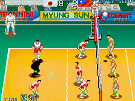 World Cup Volley 95